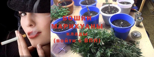 крисы Баксан