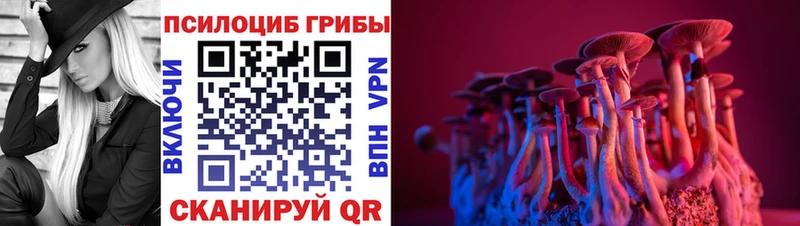 сколько стоит  ОМГ ОМГ рабочий сайт  Псилоцибиновые грибы GOLDEN TEACHER  Билибино 